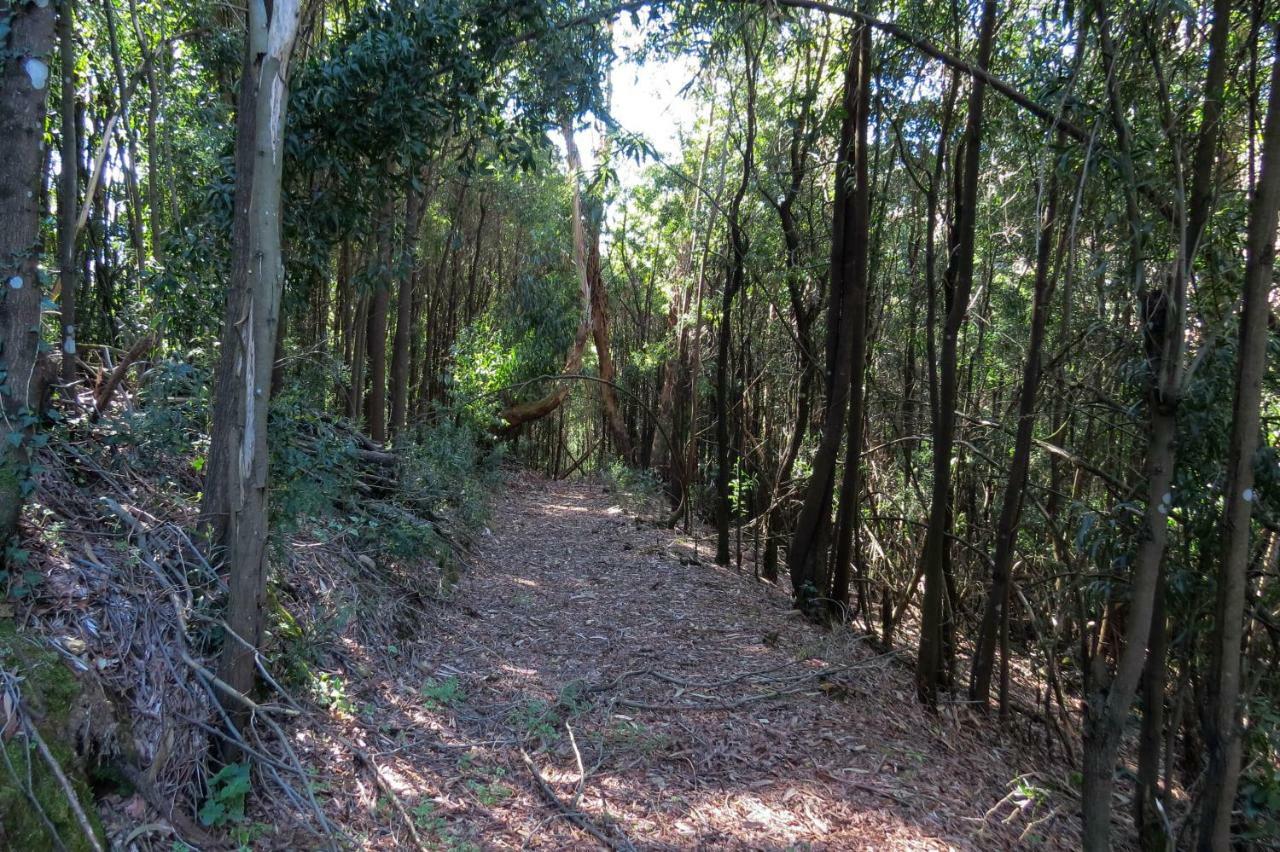 Quinta Sao Jose - Museu Do Triciclo Villa Mesão Frio Eksteriør bilde